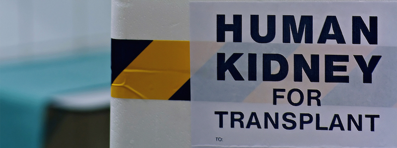 Sign that says Human Kidney for Transplant